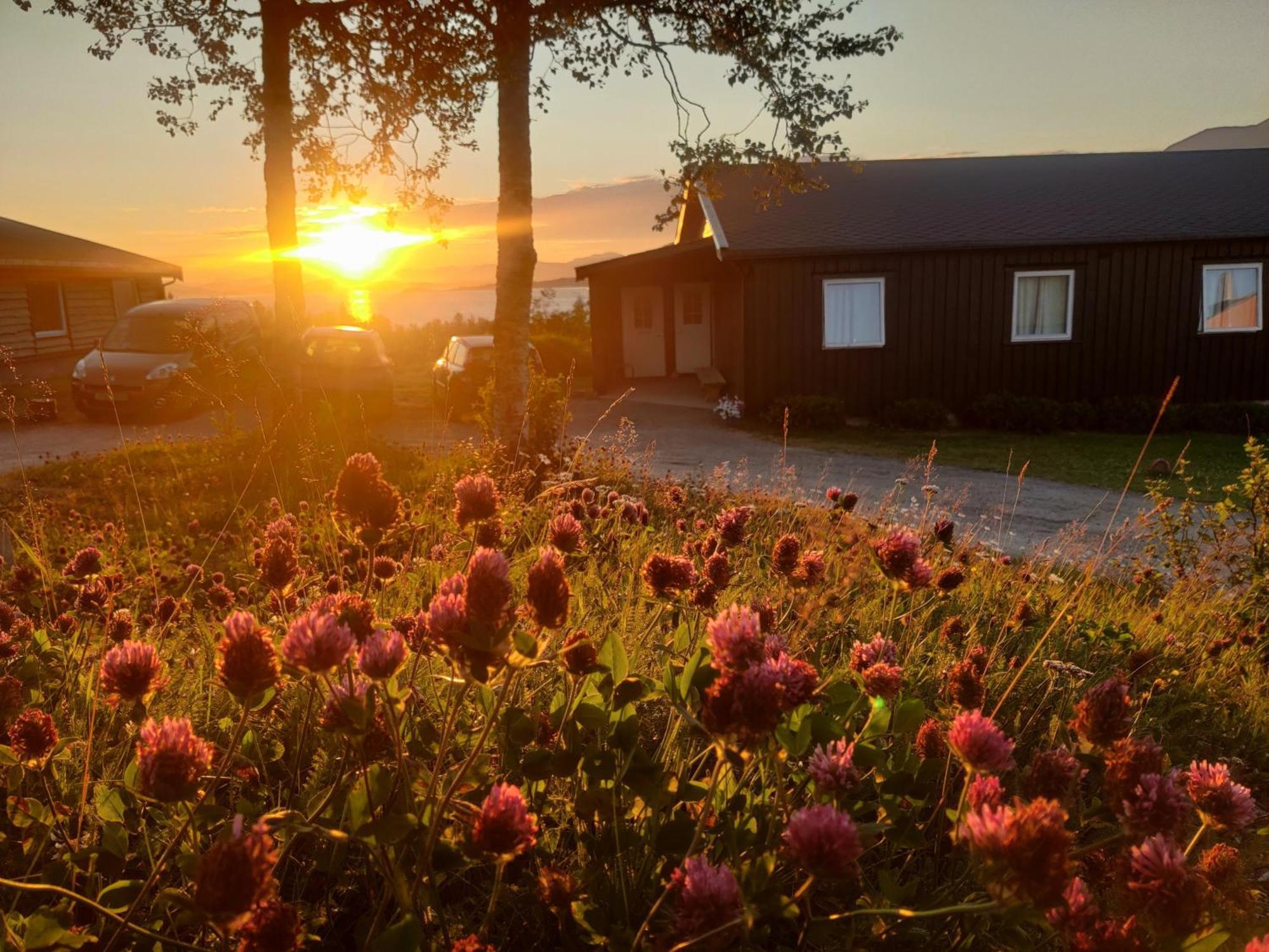 Skoghus Vandrarhem Silsand Exteriör bild