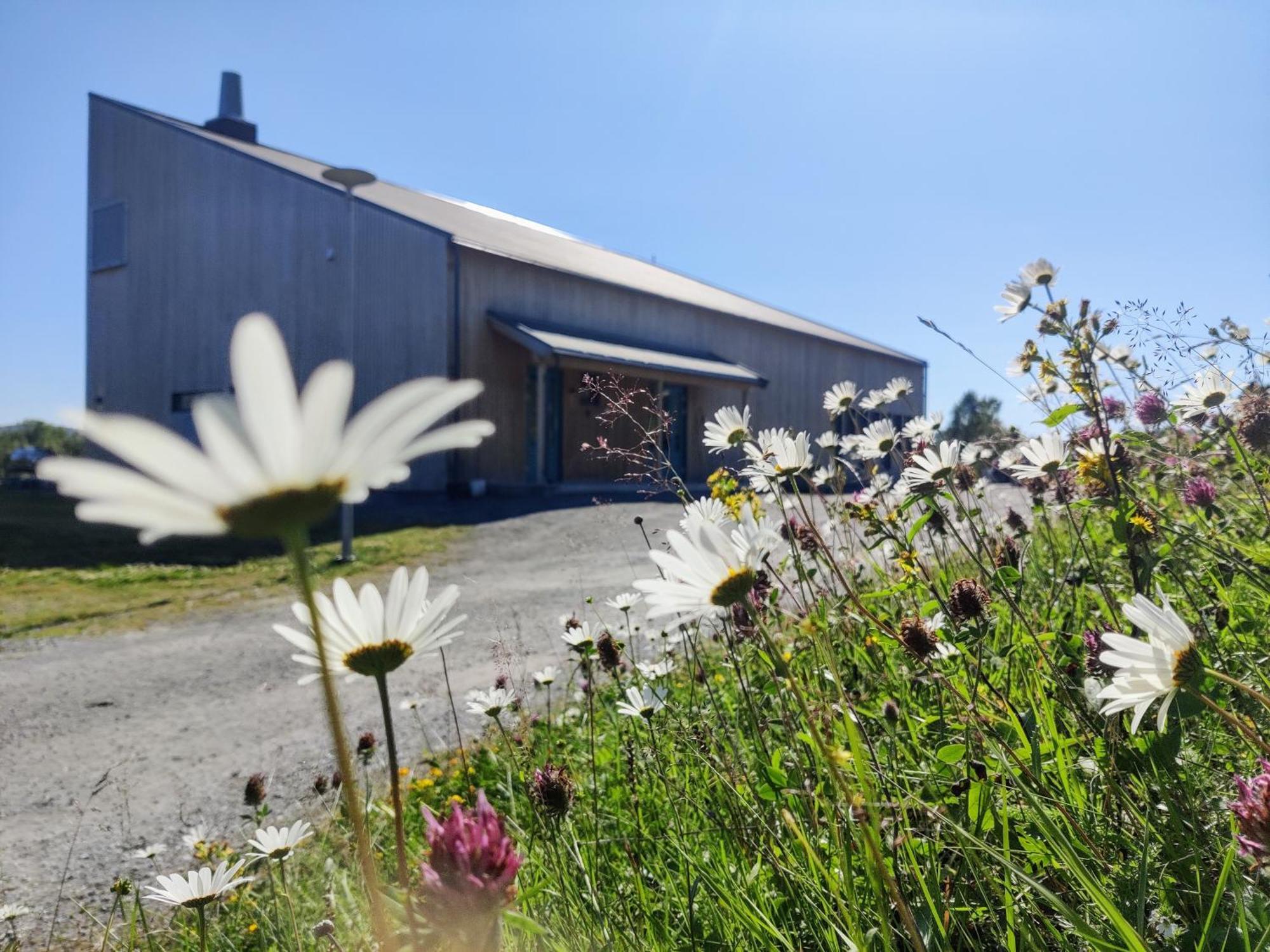 Skoghus Vandrarhem Silsand Exteriör bild